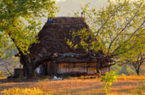 Casa ţărănească tradițională din Rosia
