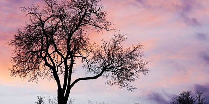 Bihorul Pitoresc-Varciorog