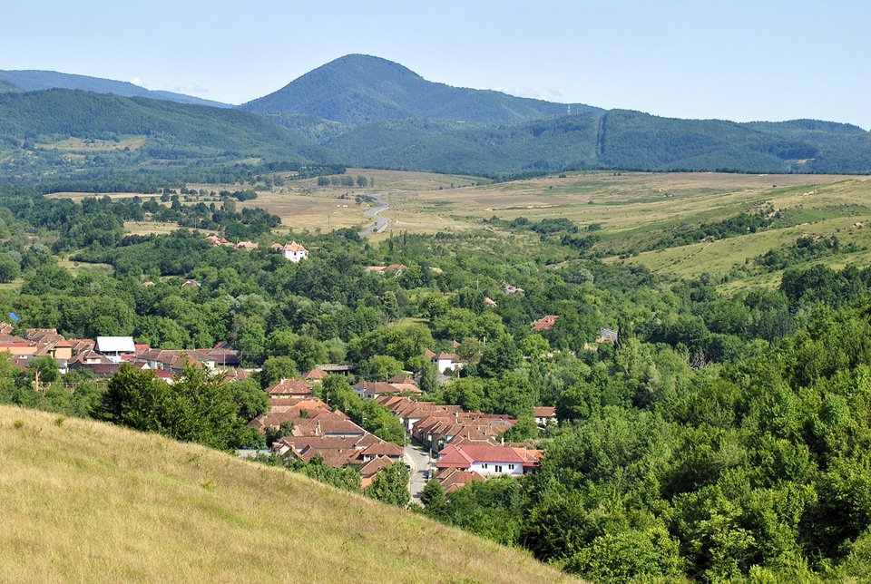 Cărpinet village