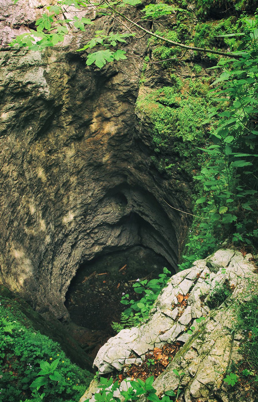 Borțig vertical cave