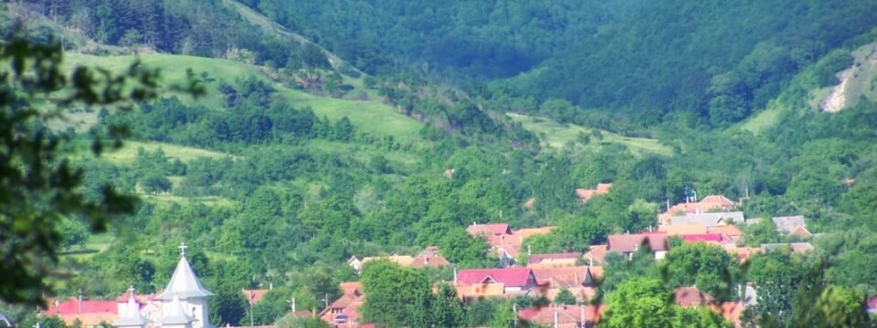 Printre frunze, satul Peștiș