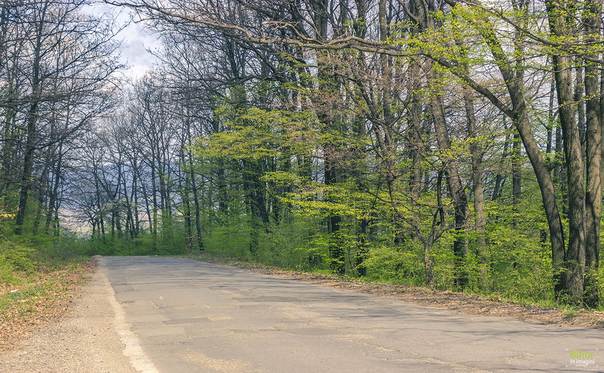 Traseu turistic pe bicicleta Șuncuius-Zece Hotare-Tășad-Oradea