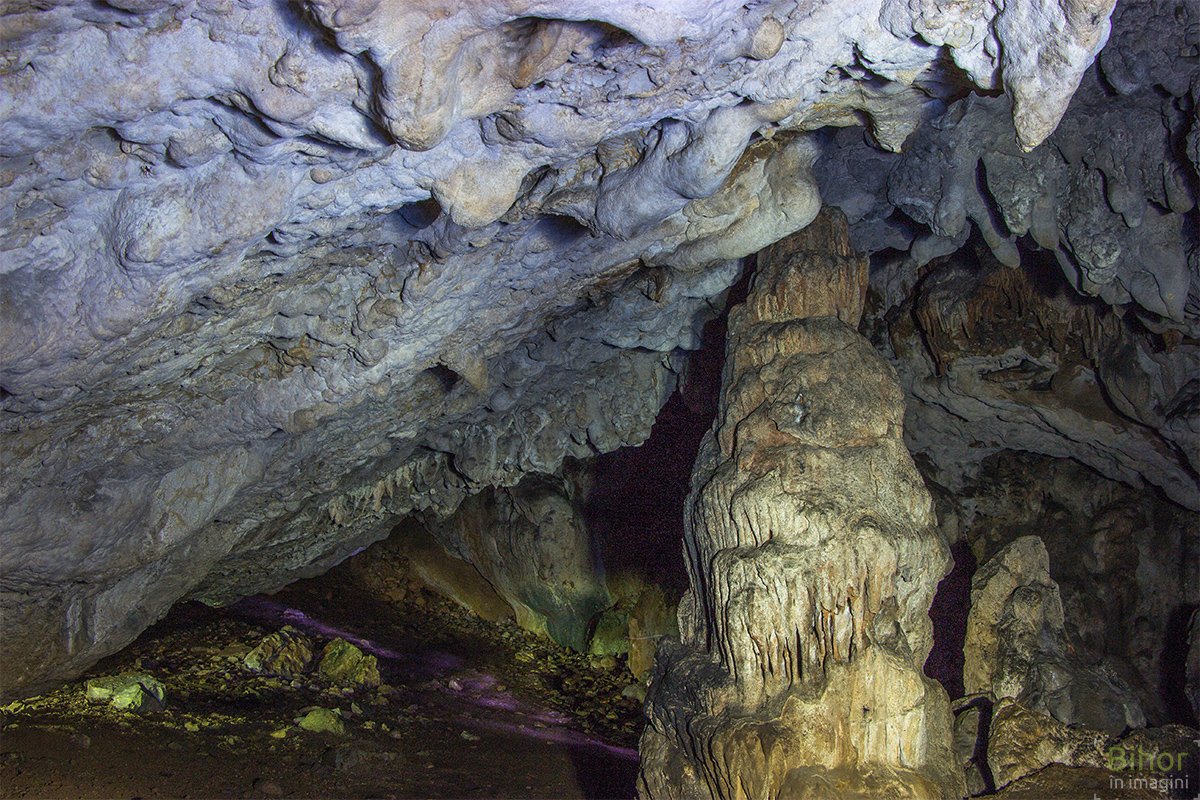 Peștera Vacii din Cheile Cuților