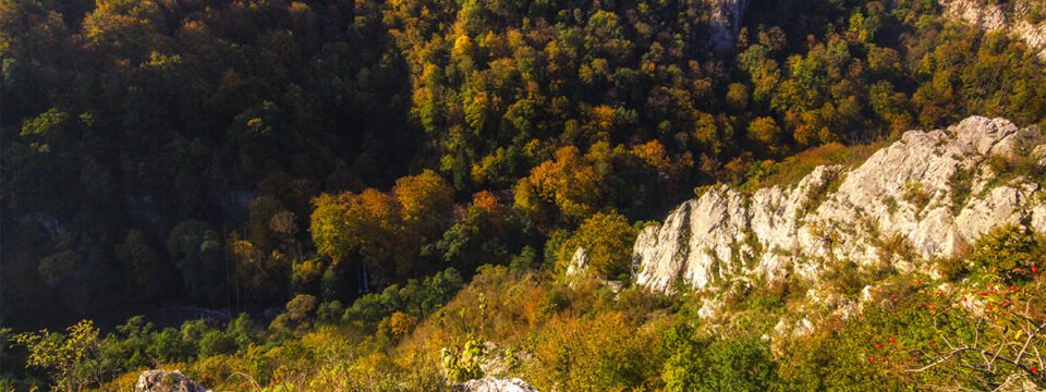 Pădurea Craiului Mountains