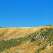 Rezervația naturală Vârful Cârligaţi