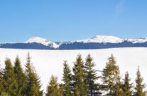 Peisaj de iarnă cu vedere spre Vf Buteasa