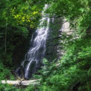 Trail: Poiana village – The Holy Trinity waterfall – Băiţa village