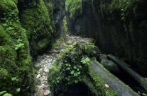 Sighiştelului Valley – a wild paradise of caves