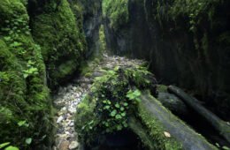 Sighiştelului Valley – a wild paradise of caves