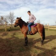 Free Horses Ranch – Echitație în stil WESTERN